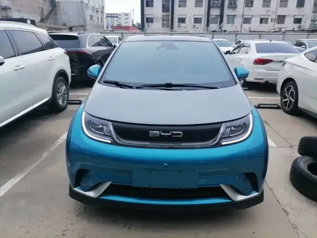 BYD Dolphin 2021 401km Knight Edition — Фото автомобиля 2