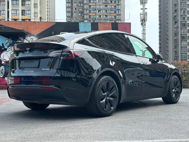 Tesla Model Y — Фото автомобиля 4