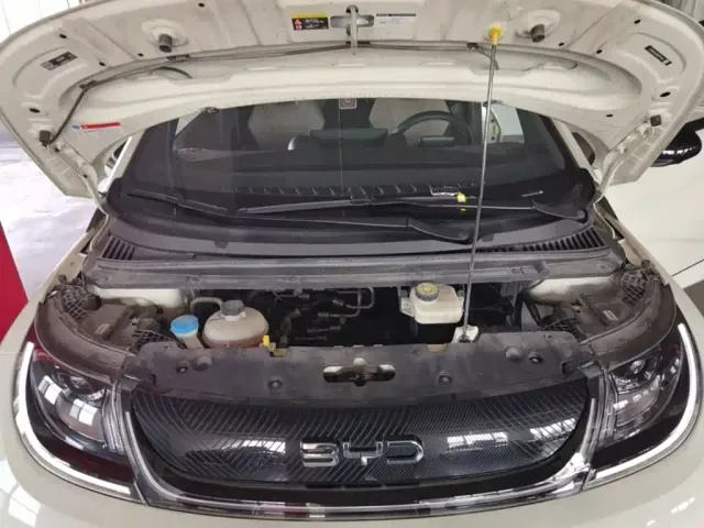 BYD Dolphin — Фото автомобиля 19