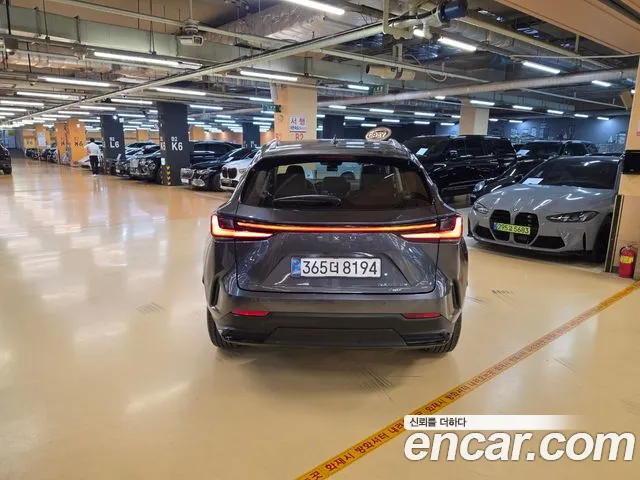 Lexus NX NX450h+ 2nd Gen — Фото автомобиля 4