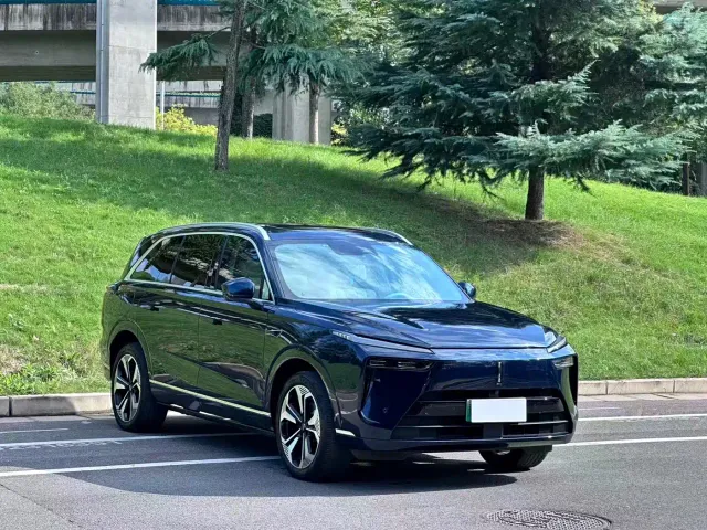 Wey Lanshan — Фото автомобиля 3