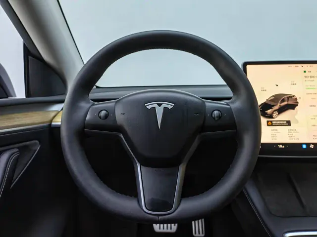 Tesla Model Y — Фото автомобиля 14
