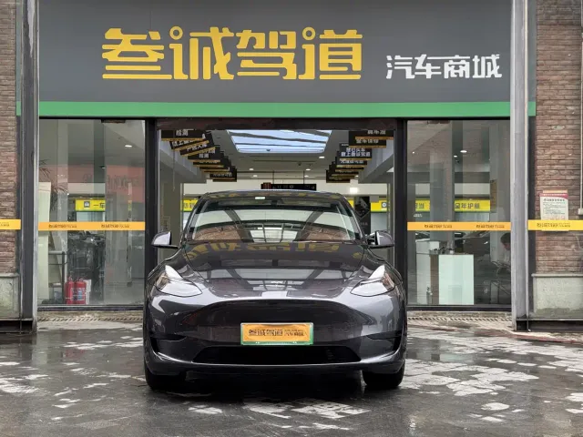 Tesla Model Y — Фото автомобиля 2