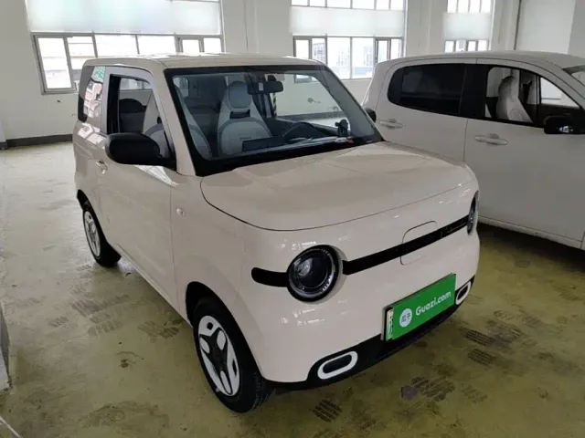 Geely Panda — Фото автомобиля 21