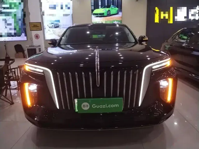 Hongqi E-HS9 — Фото автомобиля 2