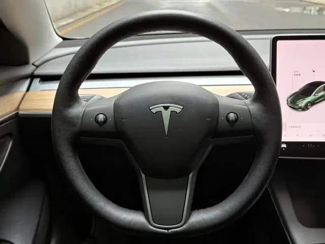 Tesla Model 3 — Фото автомобиля 12
