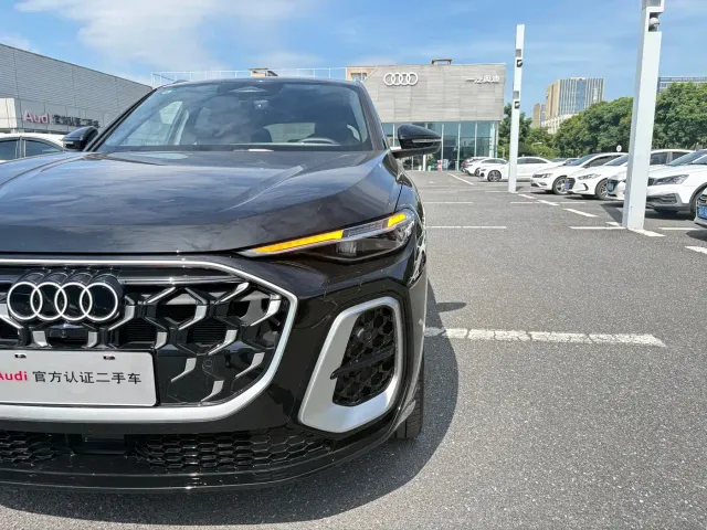 Audi Q5L — Фото автомобиля 15