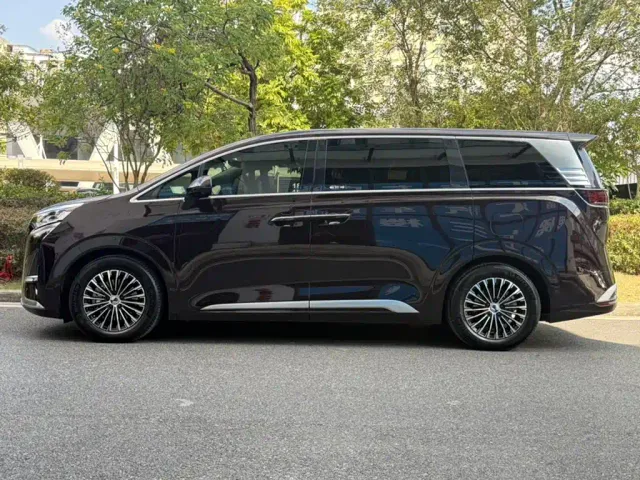 Denza D9 — Фото автомобиля 11