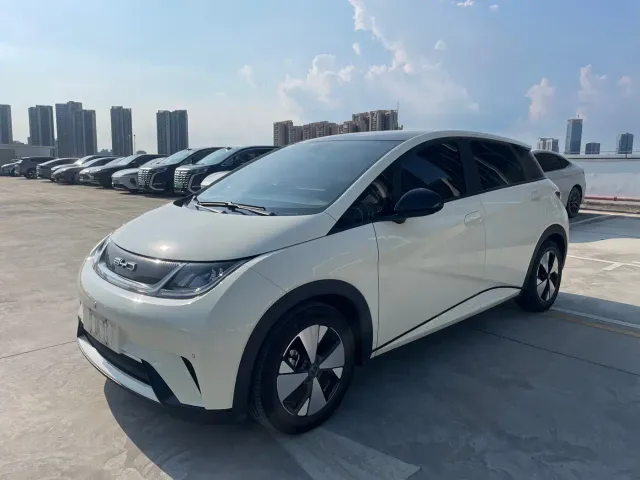 BYD Dolphin — Фото автомобиля 2