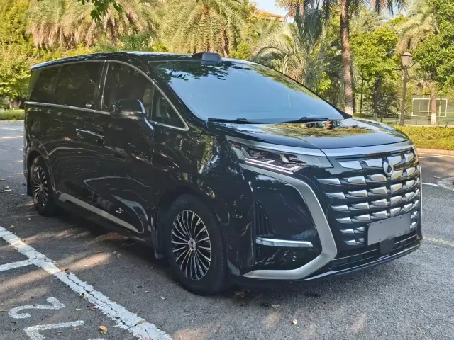 Фотография автомобиля — Denza D9