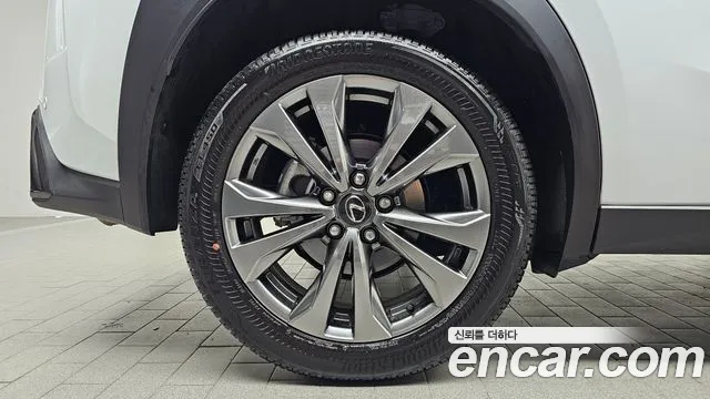 Lexus UX UX300h — Фото автомобиля 6