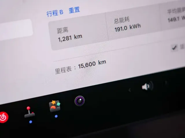 Tesla Model Y — Фото автомобиля 19