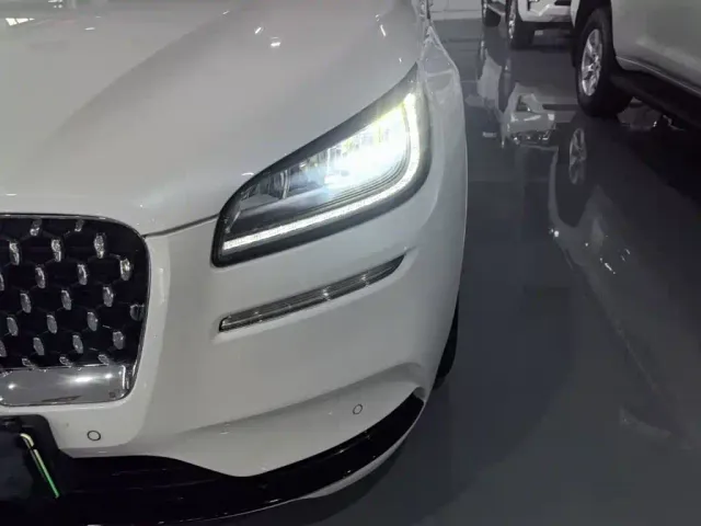 Lincoln Adventurer NEV — Фото автомобиля 23
