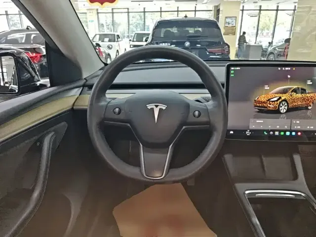 Tesla Model Y — Фото автомобиля 10