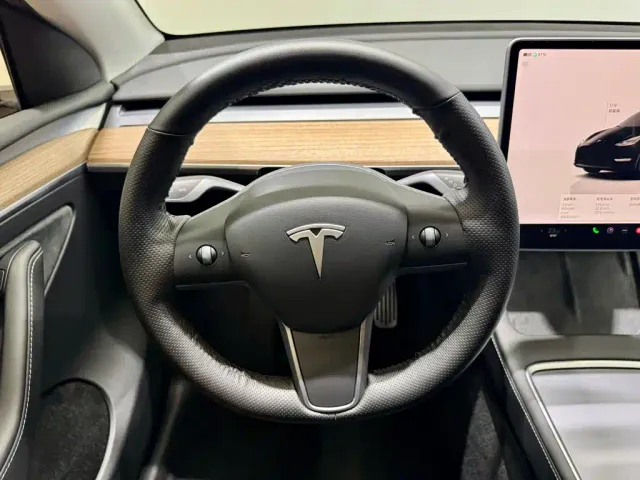 Tesla Model Y — Фото автомобиля 12