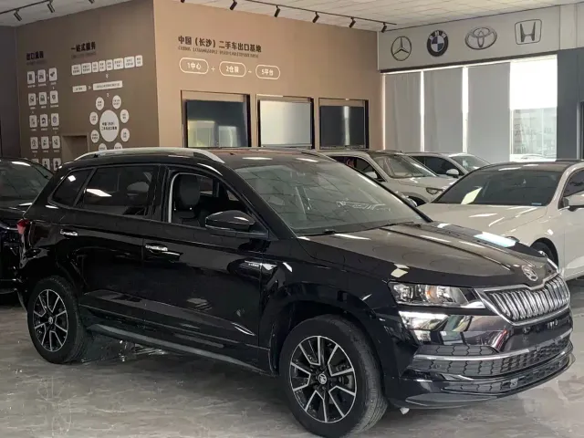 Skoda Karoq — Фото автомобиля 9