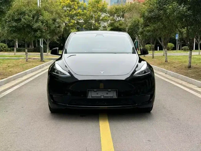 Tesla Model Y — Фото автомобиля 2