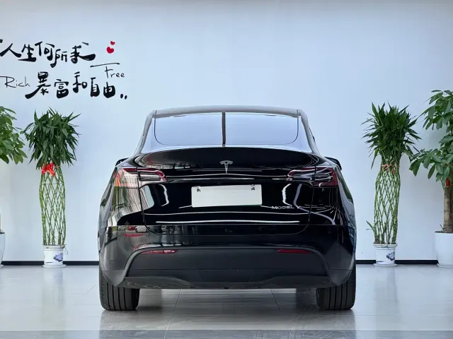 Tesla Model Y — Фото автомобиля 18