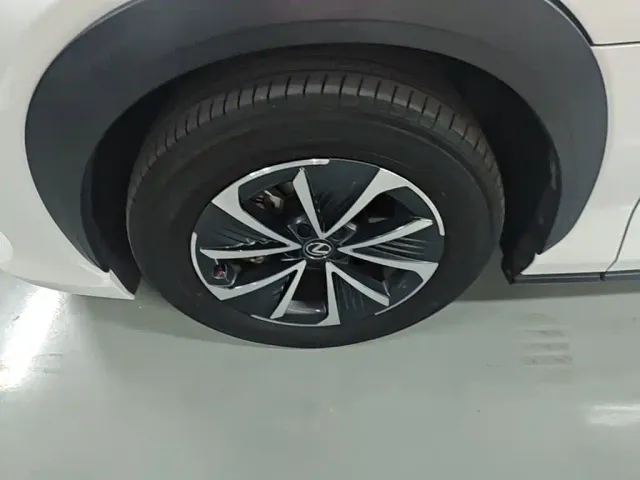 Lexus RZ — Фото автомобиля 22