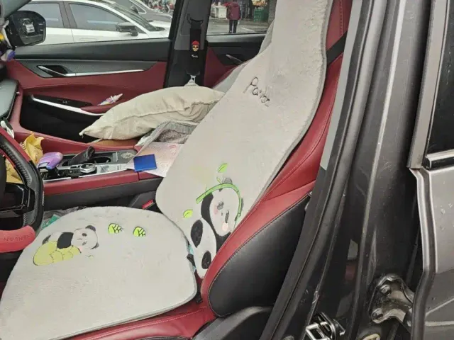 Changan CS75 Plus — Фото автомобиля 11