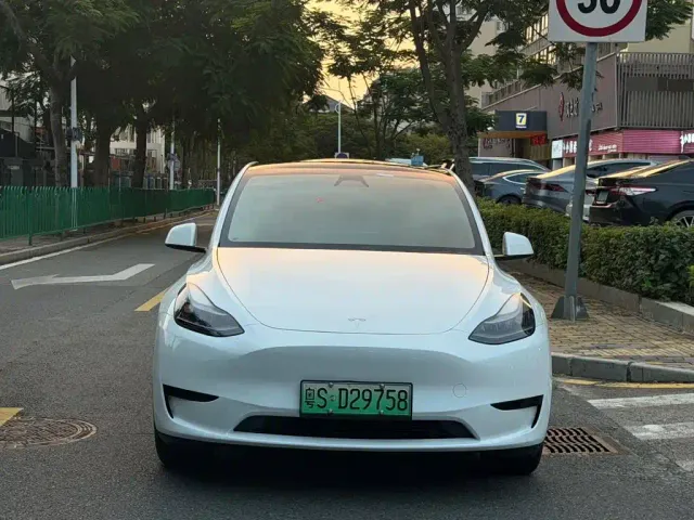 Tesla Model Y — Фото автомобиля 2