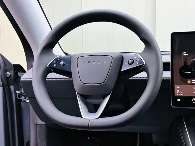 Tesla Model Y — Фото автомобиля 10