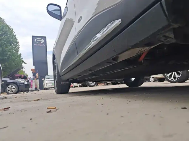 Geely Starry Wish — Фото автомобиля 21