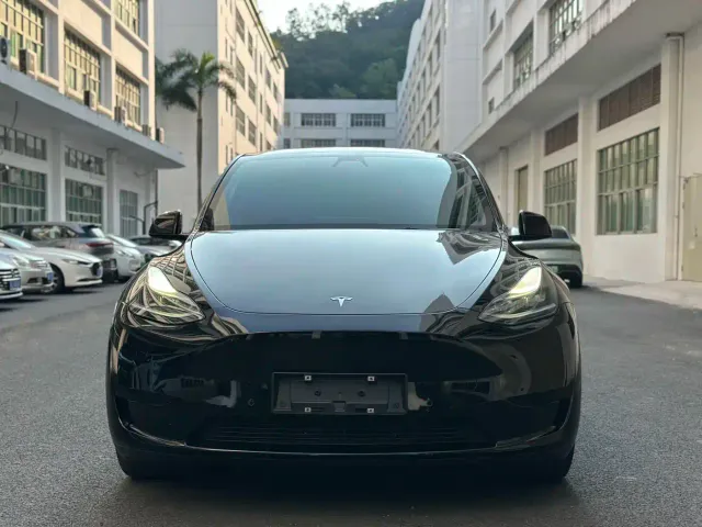 Tesla Model Y — Фото автомобиля 2