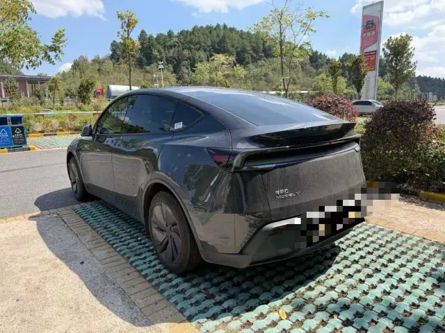 Tesla Model Y — Фото автомобиля 3