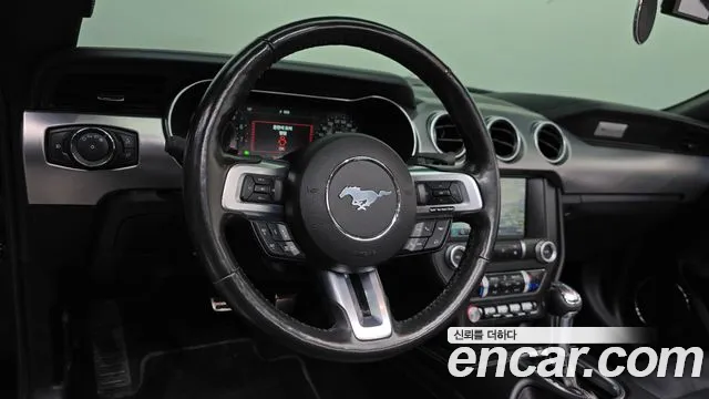 Ford Mustang — Фото автомобиля 18