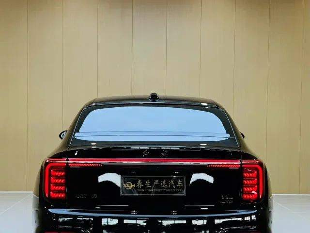 Hongqi H9 — Фото автомобиля 14