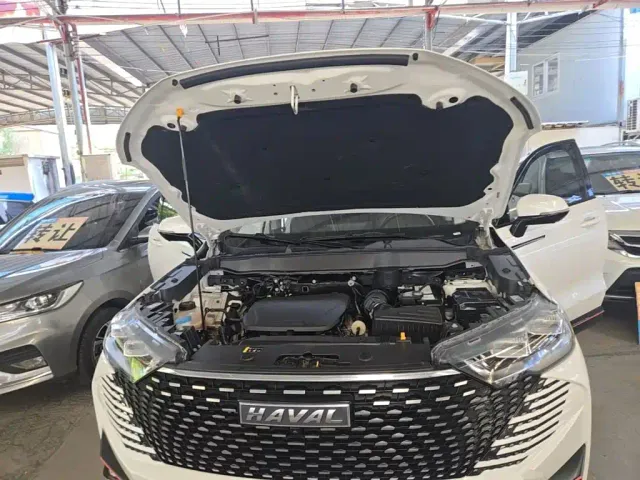 Haval H6 — Фото автомобиля 19