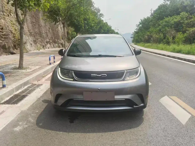 BYD Dolphin — Фото автомобиля 2