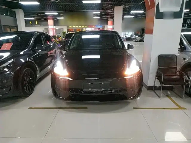 Tesla Model Y — Фото автомобиля 2