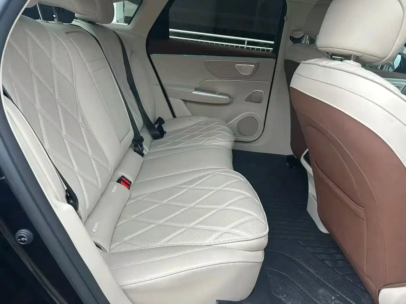 Chery Fengyun Fengyun A9L 2025 260 Ultra Long Range Luxury Edition — Фото автомобиля 4