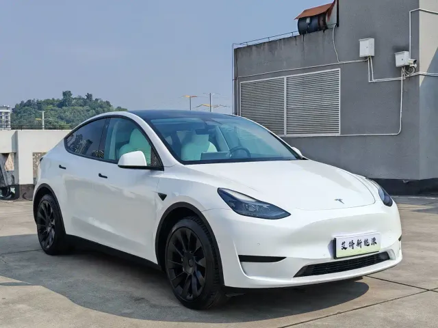 Tesla Model Y — Фото автомобиля 3