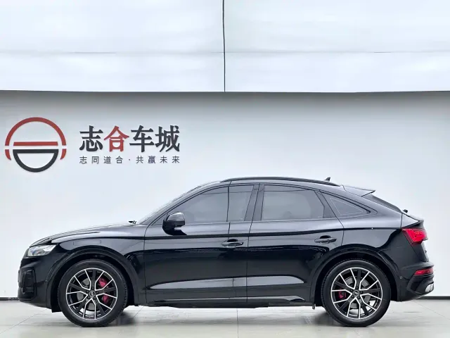 Audi SQ5 — Фото автомобиля 9