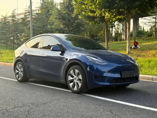Tesla Model Y — Фото автомобиля 3