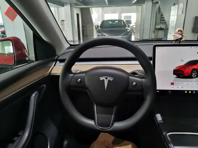 Tesla Model Y — Фото автомобиля 16