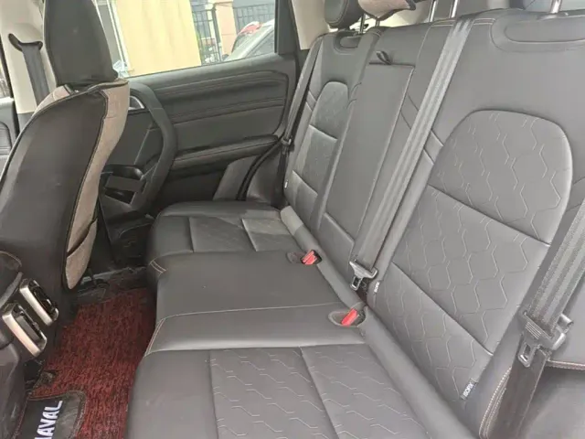 Haval Big Dog — Фото автомобиля 16