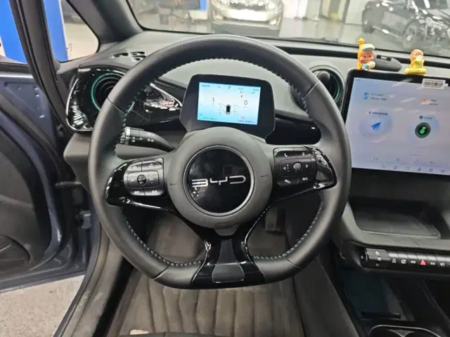BYD Dolphin 2024 Glory Edition 420km Fashion Edition — Фото автомобиля 10