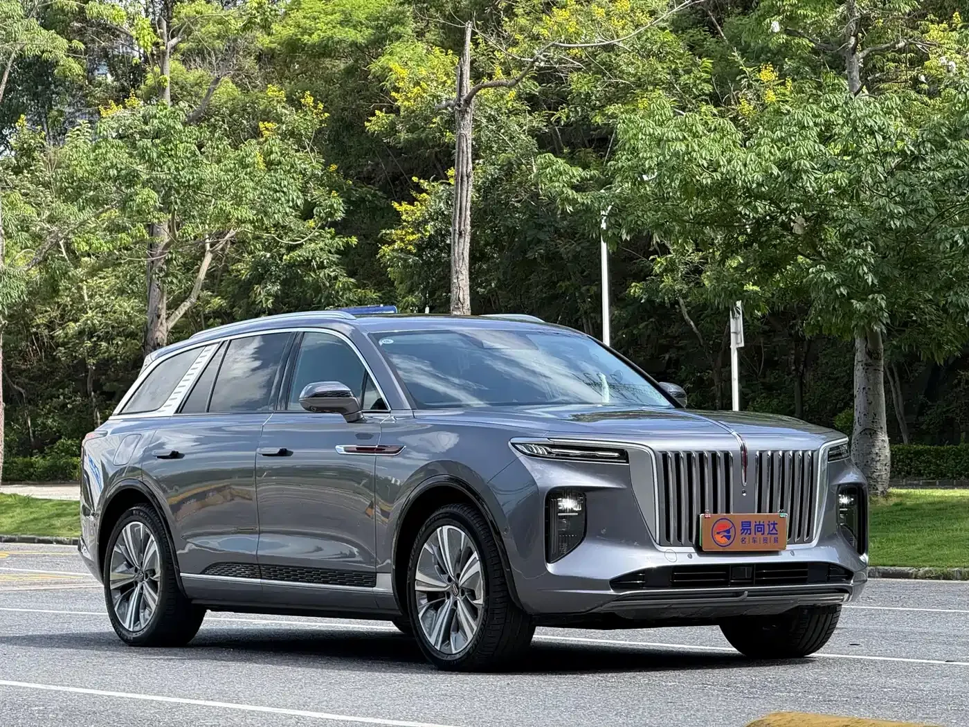 Hongqi Hongqi E-HS9 2022 660km Qi Chang Edition (6-seater) — Фото автомобиля 3
