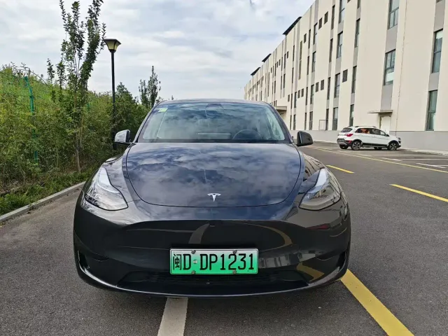 Tesla Model Y — Фото автомобиля 2