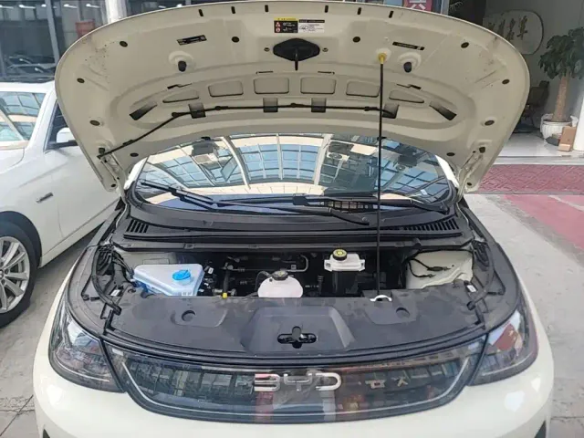 BYD Dolphin 2025 Smart Drive Edition 410km Fashion Version — Фото автомобиля 19