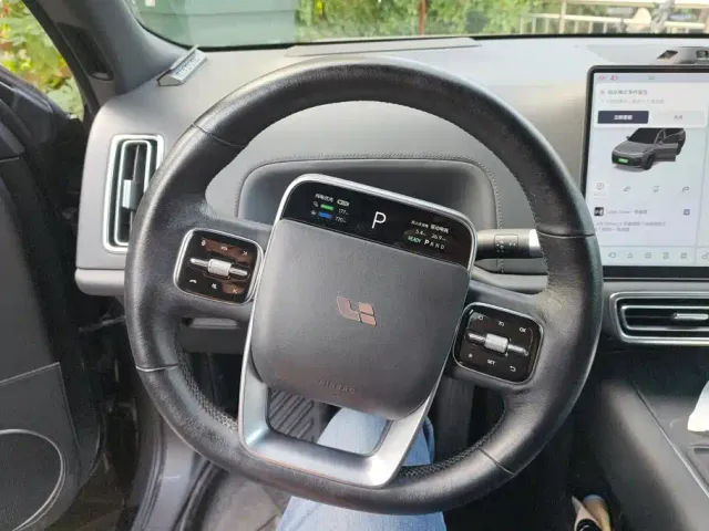 Li Auto L9 — Фото автомобиля 15