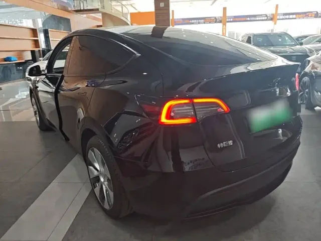 Tesla Model Y — Фото автомобиля 4