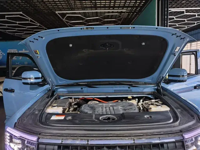 BYD FangChengBao Leopard 5 — Фото автомобиля 19