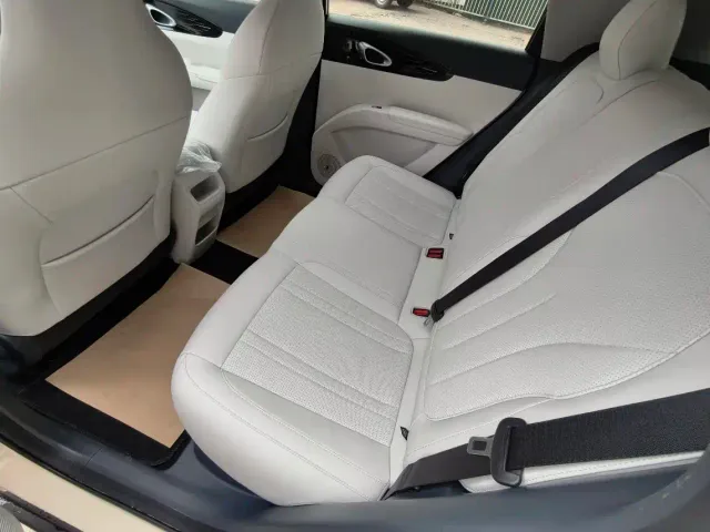 Geely Starry Wish — Фото автомобиля 6