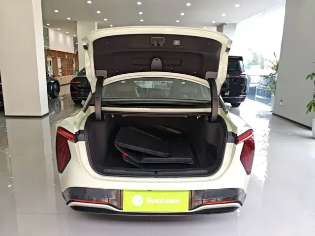Hongqi EH7 — Фото автомобиля 18