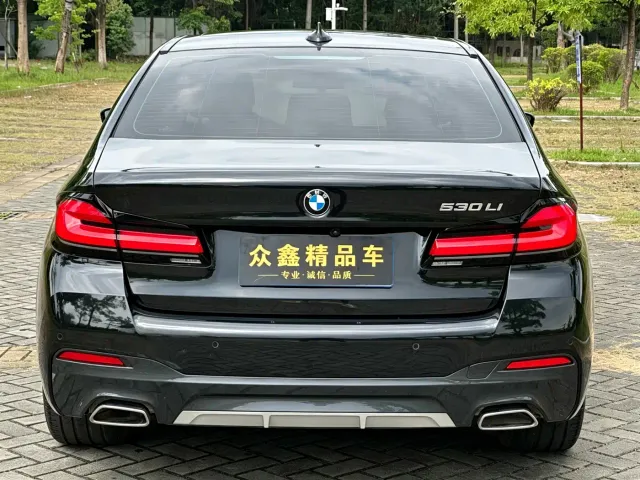 BMW 5 Series — Фото автомобиля 14